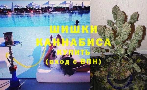сатива Баксан