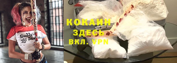 мдпв Нея