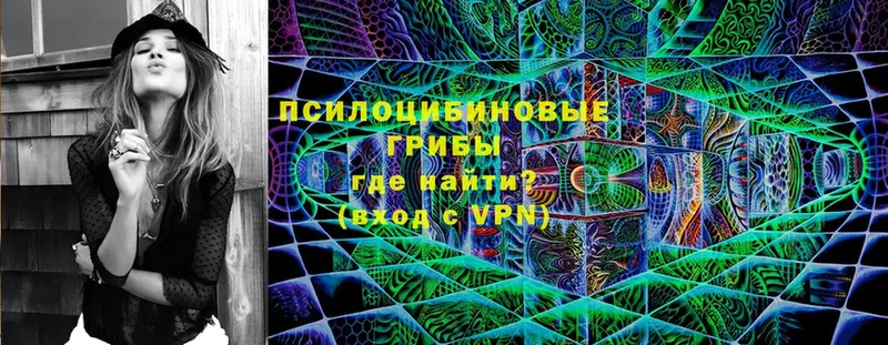 Псилоцибиновые грибы Magic Shrooms  маркетплейс как зайти  Новомичуринск 